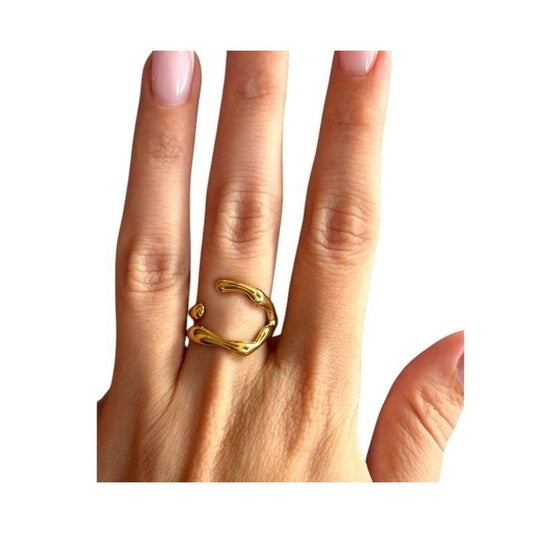 ANILLO GROOT