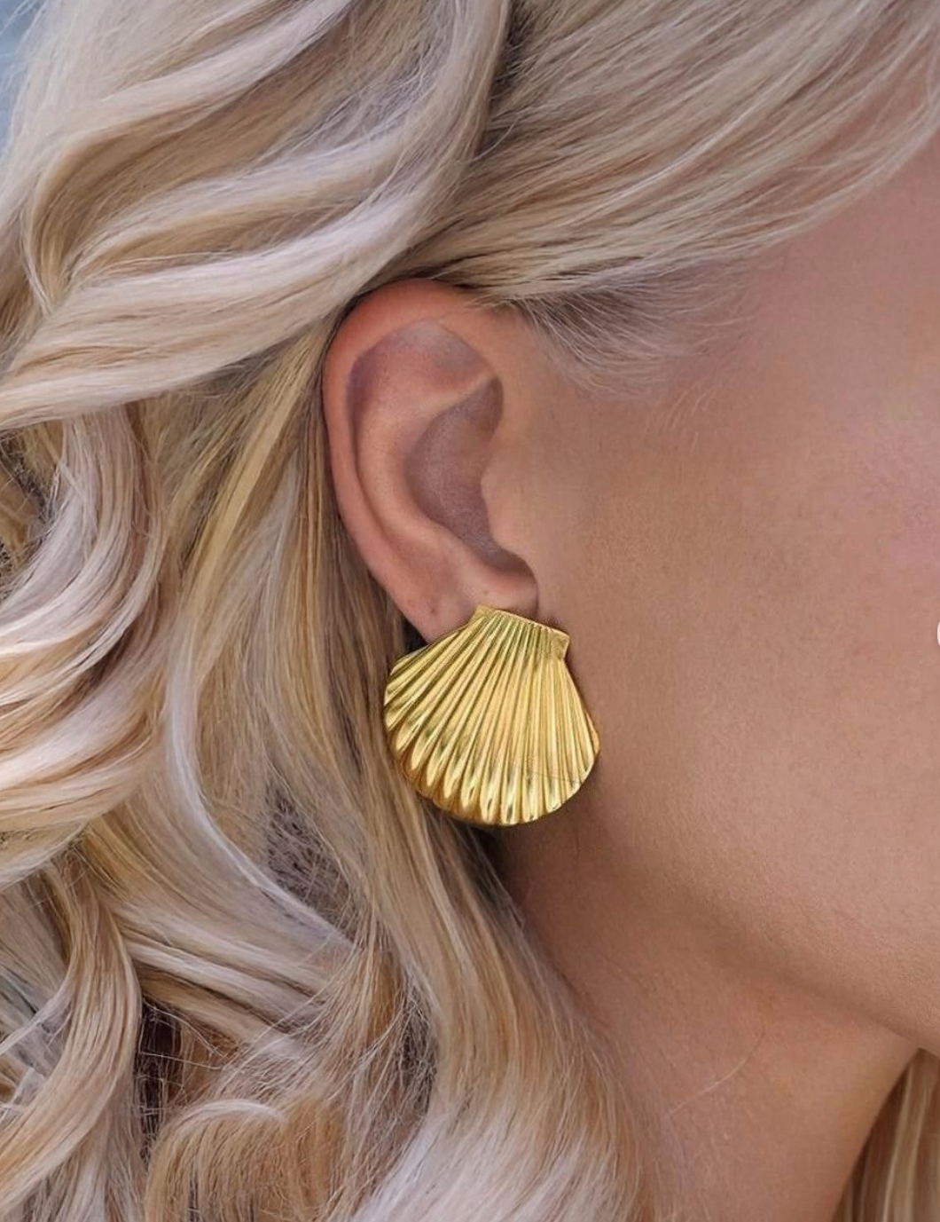 SEASHELL