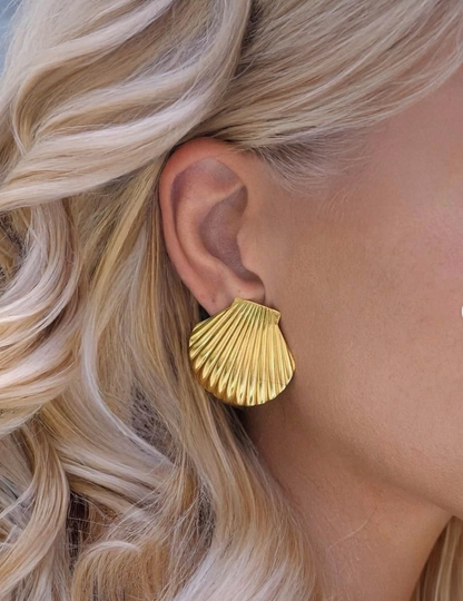 SEASHELL