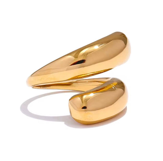ANILLO DANA
