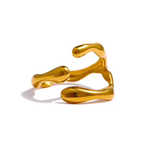 ANILLO GROOT